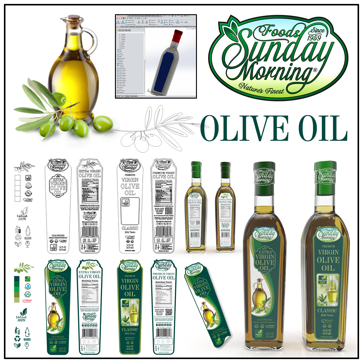 Olive Oil Branding