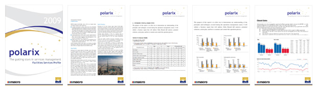 Polarix (Emaar/MaceMacro) Corporate Profile